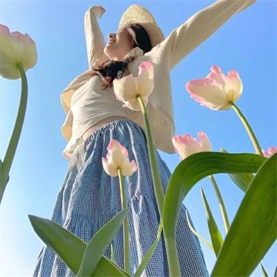 一刀风月